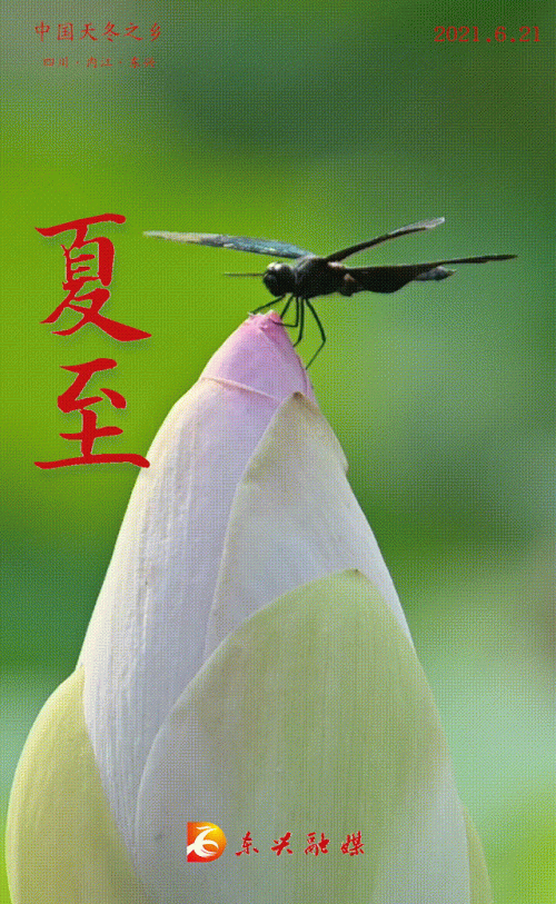 -01_1.gif