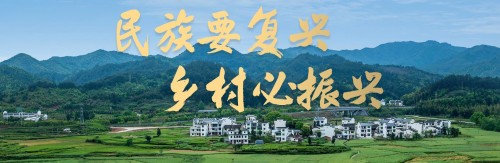 banner01.jpg