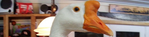 Lo90f0T.png