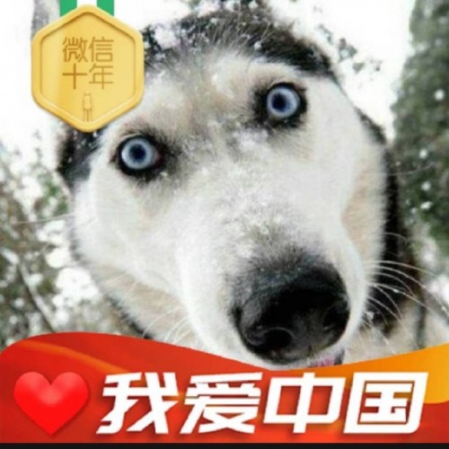 _20221229112607.jpg