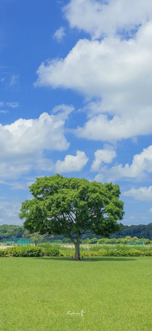 IMG_0015.png