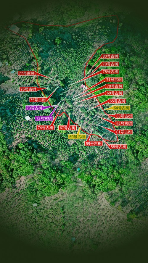 three-yzs.jpg
