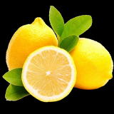027b95a9f6e4202131671d9d31e21232