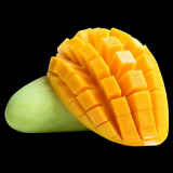 0383b087398488338fbade8733239769