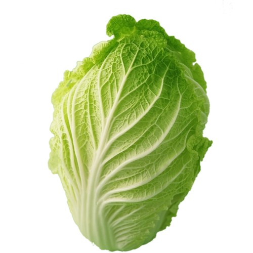 白菜