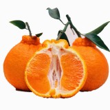 1f05403d569148c80e0bd7091faf021f