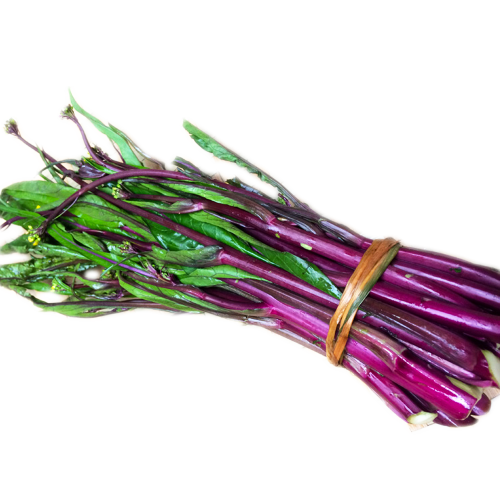 263900223dae12deaa113a73c546e5f2.png