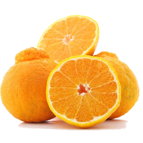 71805066448c53d6f7b93db57ff64a1d.png