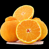 71805066448c53d6f7b93db57ff64a1d