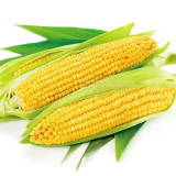 74b0d8771b847868061493dcb602fe93