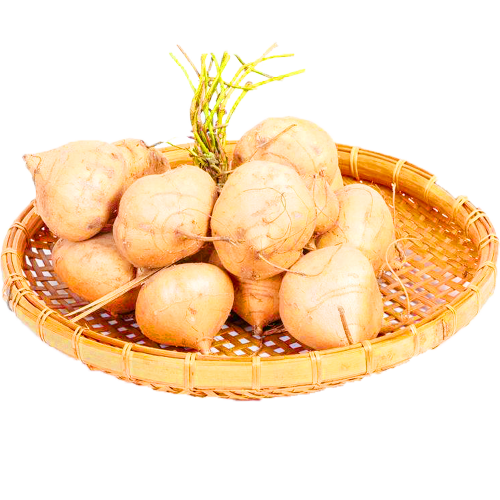 地瓜