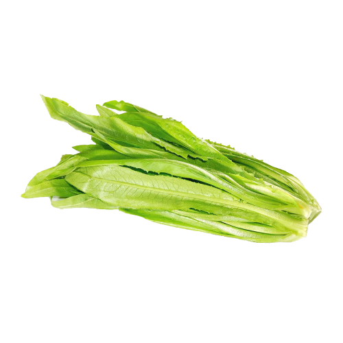 b1abc0d697454c5f65848790e9b25599.png