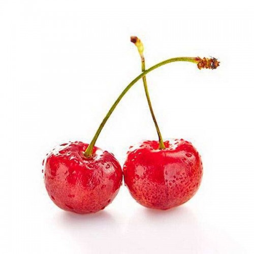 樱桃