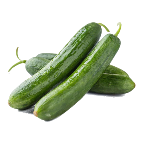 小黄瓜