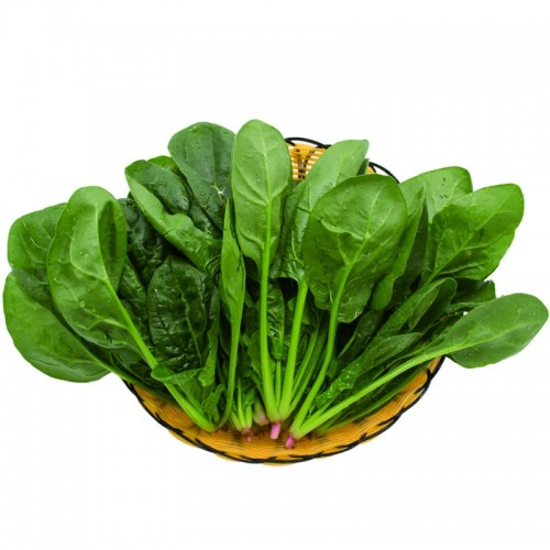 菠菜