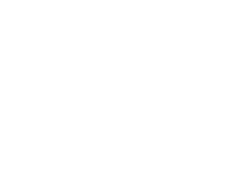 The-Spark-New-Logo-FinalEditable-3-03.png