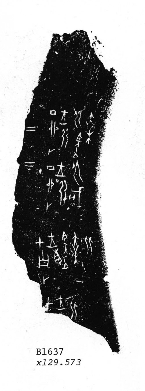 w01637.jpg