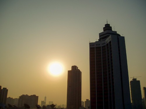 20043-1.jpg