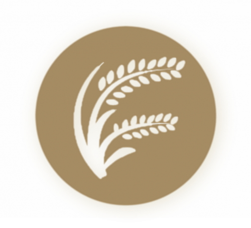 1a2f4ba753a70a98e.png
