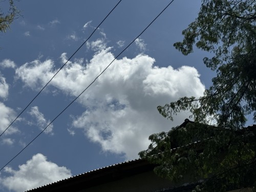 IMG_1269.jpeg