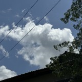 IMG_1269