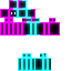 CustomSkin.png