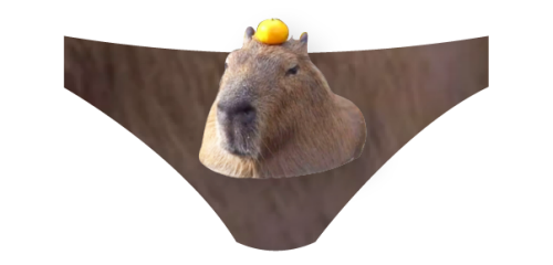 Capybara-Pantsu.png