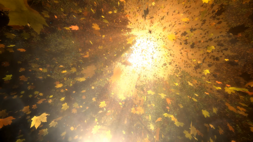 autumn parametric