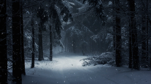dark winter