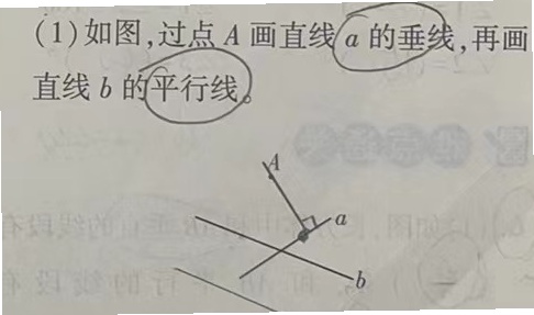 __7_3.jpg