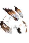 65006e74d9d2d8f7.png