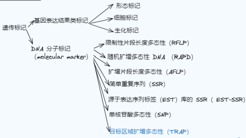 Snipaste_2024-07-31_16-46-13.png