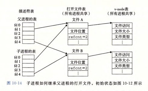 image94e7bcd4e94c2f21.png