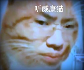 000000000000000002捕获