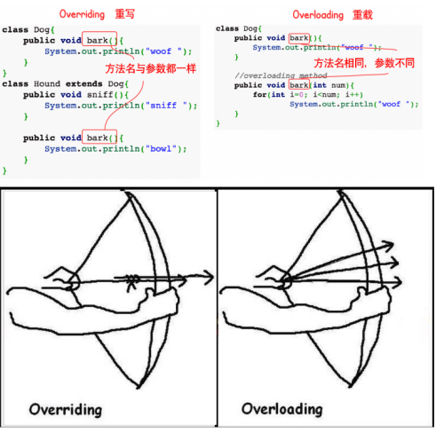 image56882081eb5ad5cf.png
