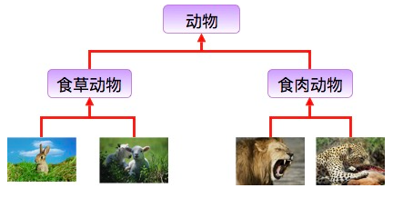 image62405c6138aa7b4a.png