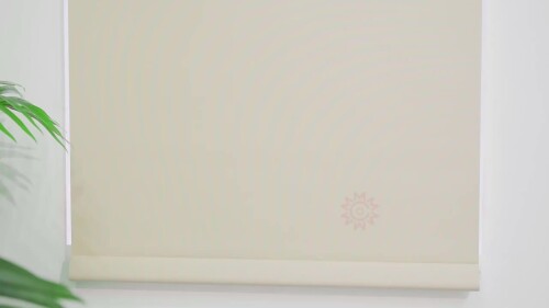The-Roller-blinds.mp4