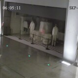 000066