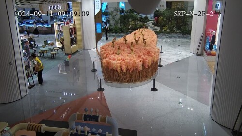 000115.jpg