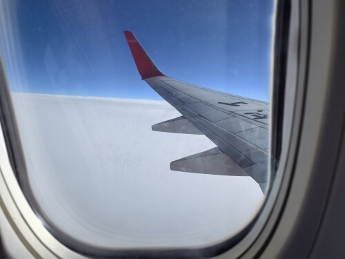 IMG_20231027_145433.jpg
