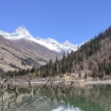 IMG_20240323_111318