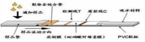 618d03459144a44c1.png