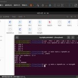 image005