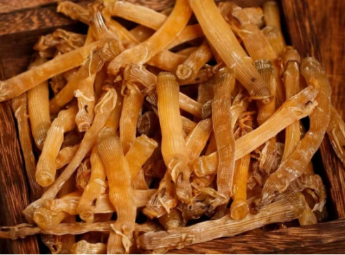 image1b6e7209c616e13b.png