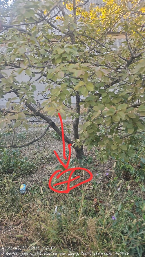 1000011673.jpg