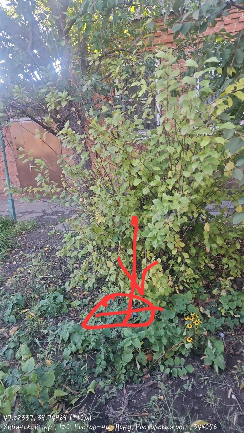 1000011674.jpg