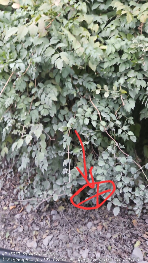 20241025_170512.jpg