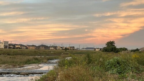 241731312956_.pic.jpg