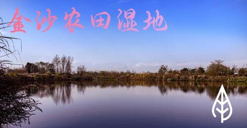 c71638ea618882c95.jpg