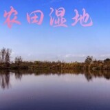 c71638ea618882c95